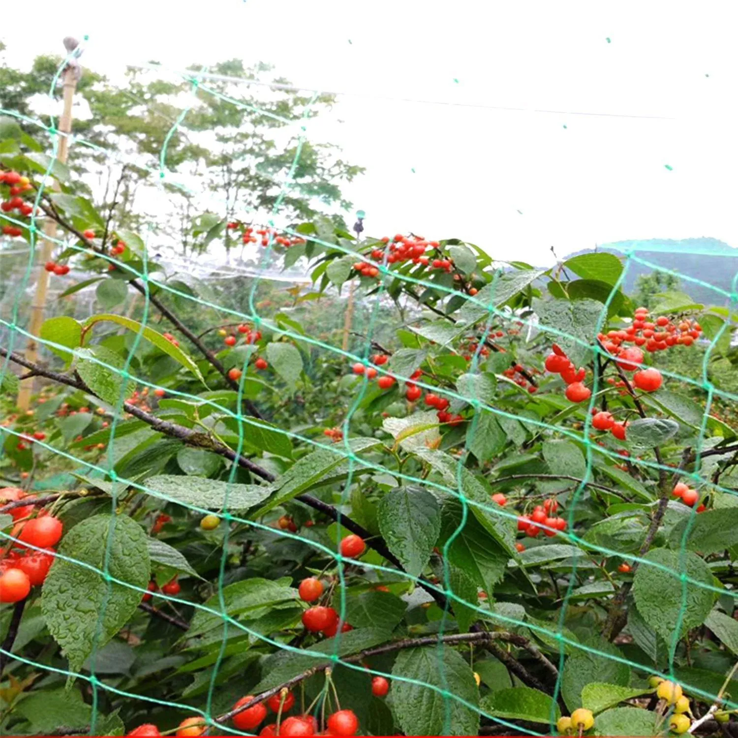 13 x 33 Ft. Garden Net