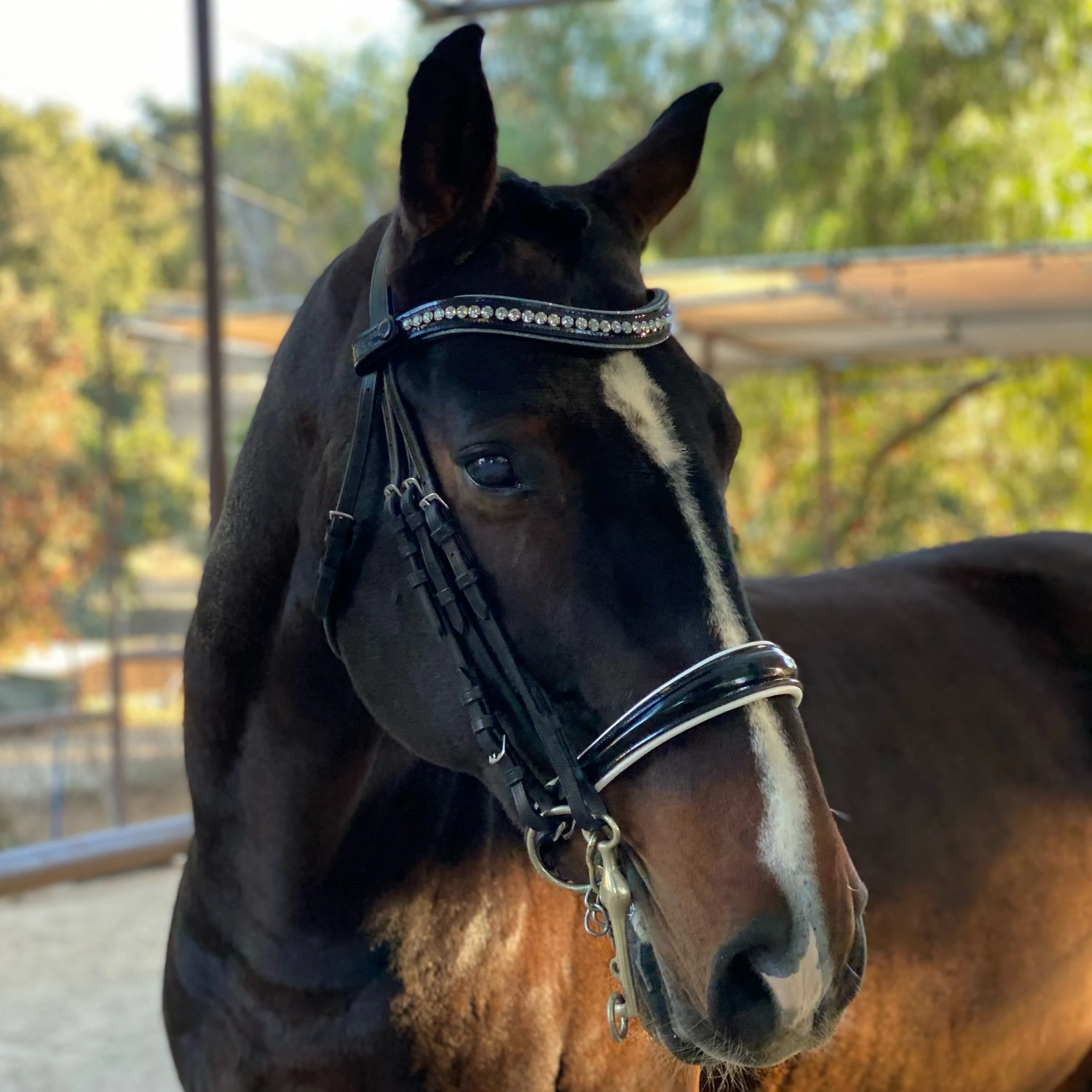 Crystal Patent Browband - Blue Frost